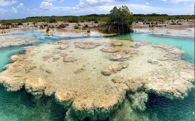 Bacalar: Magnificent Bacalar Lagoon Exclusive Boat Tour - Three cenotes in one afternoon: black, emerald, and cocalitos
