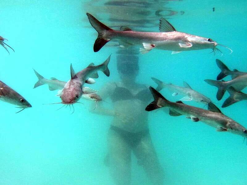 Bacalar: Magnificent Bacalar Lagoon Exclusive Boat Tour - Price and value at $127 per person