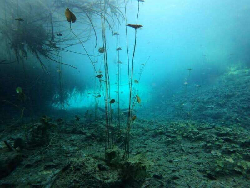 Bacalar: Magnificent Bacalar Lagoon Exclusive Boat Tour - Who this tour is best for