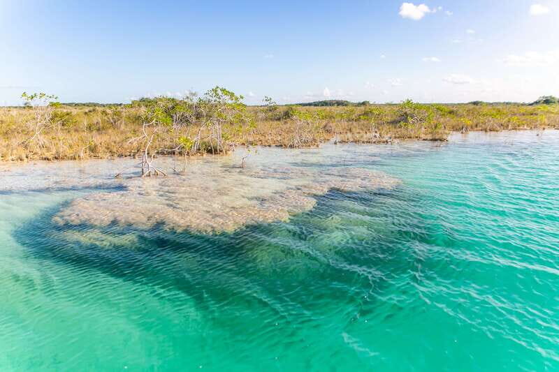 Bacalar: Private Sailboat Tour with Lagoon Swimming - Cenote Esmeralda kayaking: a full hour of gentle exploration
