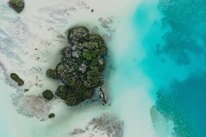Bacalar Sunrise Stand Up Paddleboard Tour with Breakfast & Photos - The swim moments and why they work better than a quick dip