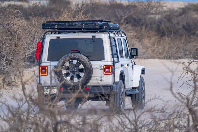 Baja Surf Expeditions - Gear, shade, and snacks: the stuff that keeps the day pleasant