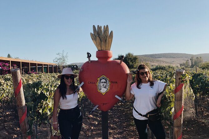 Baja Tour Guide wine tour - Valle de Guadalupe wine touring that feels stress-free from Tijuana