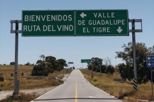 Baja Tour Guide wine tour - Pickup from the border or your hotel: how the day starts