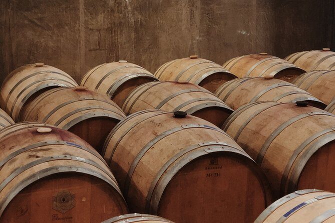 Baja Tour Guide wine tour - The drive into wine country: orientation plus a quick reality check