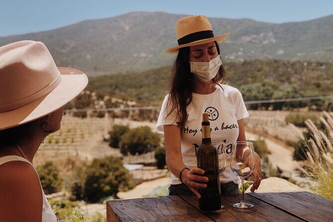Baja Tour Guide wine tour - Valle de Guadalupe for about six hours: tastings, cheese, and real eating time