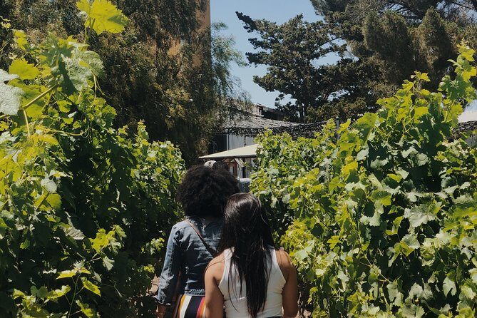 Baja Tour Guide wine tour - Alcohol and lunch are on you: how to budget without ruining the fun