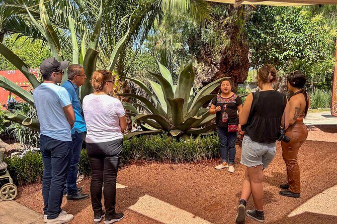 Balloon Flight with Teotihuacan & Guadalupe Shrine Full day Tour - Obsidian Workshop and Tequila Tasting That Feels Like Craft