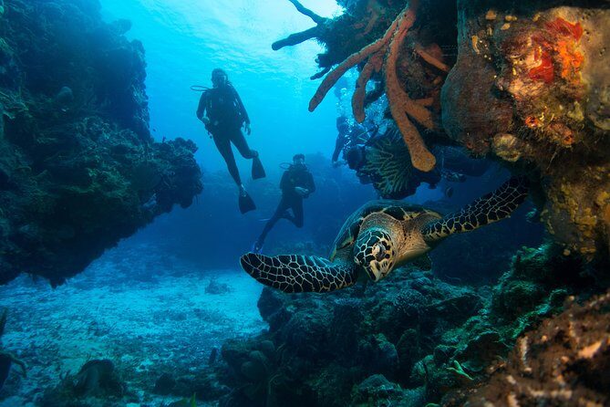 Basic Diver - Bautismo - Pool Training: The Place Where Confidence Gets Built