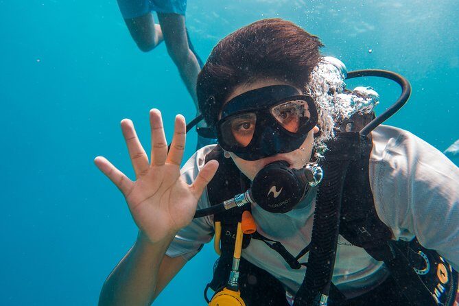 Basic Diver - Bautismo - The Gear and the Instructor-to-Student Feeling