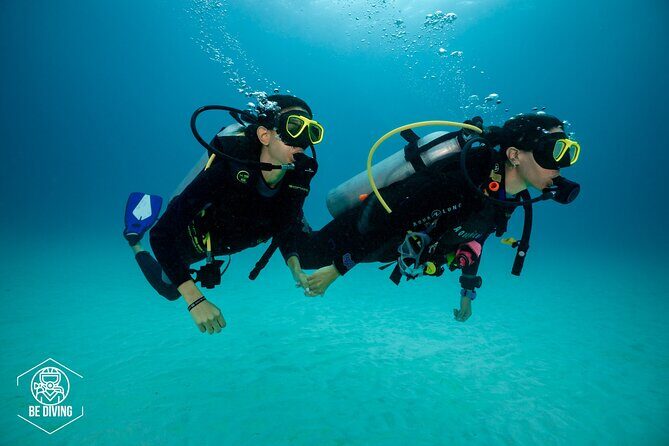 Basic Diver - Bautismo - Who This Experience Fits Best (And Who Might Want Another Option)