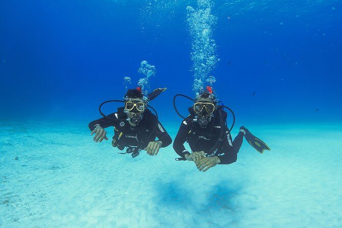 Basic Diver - Bautismo - Classroom Theory: Learn Safety and Skills First