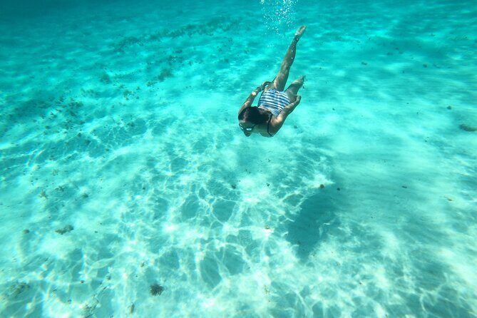 Bavarian Fiesta Snorkel Activity in Glass Bottom Boat at San Miguel de Cozumel - Food, Margaritas, and the Bavarian Beer Option