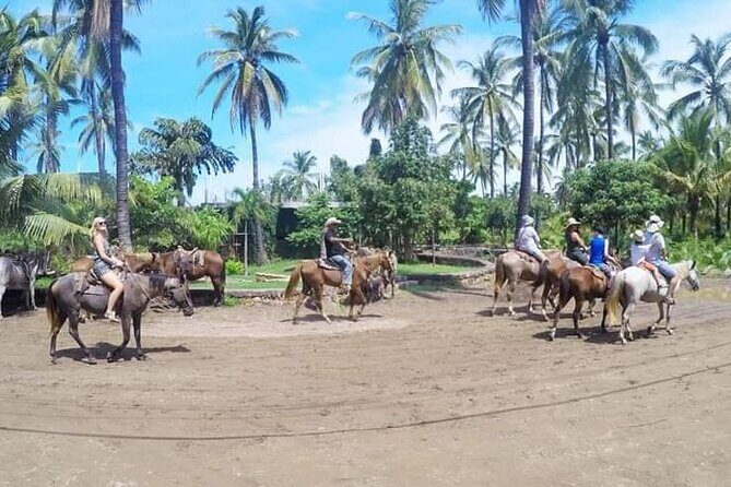Beach Activities and All Inclusive Tour - Key things to know before you go