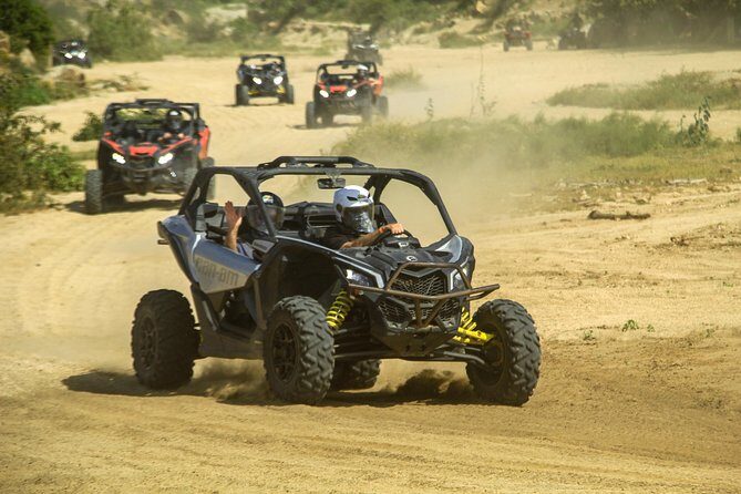 Beach and Desert Premium X3 UTV Tour in Cabo - Migriño Beach on the Pacific: Dunes, Whales in Winter, and Sunset Time