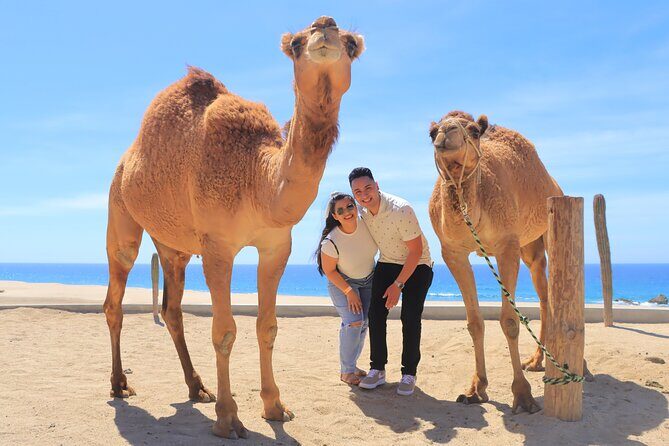Beach, ATV, and Camel Ride Combo Tour - Why the ATV + camel combo in Cabo works