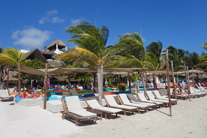 Beach Break Costa Maya with Lunch and Open Bar - What the beach-club day is really like: shade, food flow, and service
