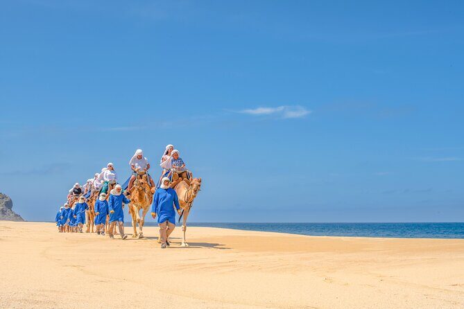 Beach Camel Ride and All-inclusive Beach Club - Beach Camel Ride: Secluded Shore, Real Animal Time, and Winter Whale Chances