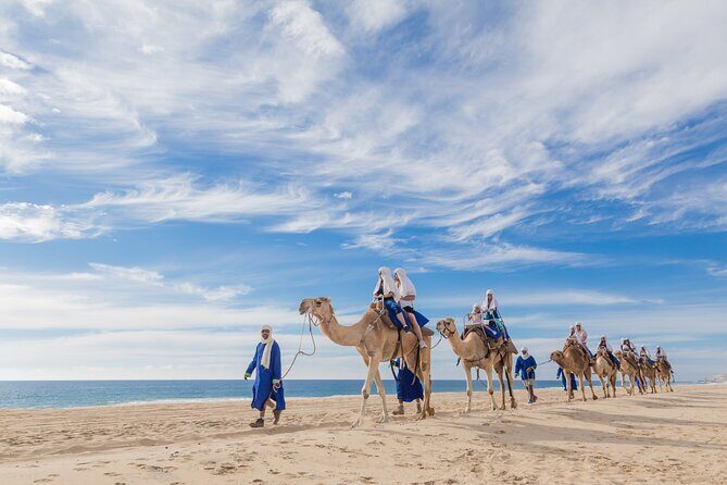 Beach Camel Ride and All-inclusive Beach Club - Food and Tequila: How the Tasting Fits the Day