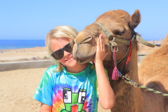 Beach Camel Ride and Encounter in Cabo - Key Things You’ll Notice Right Away