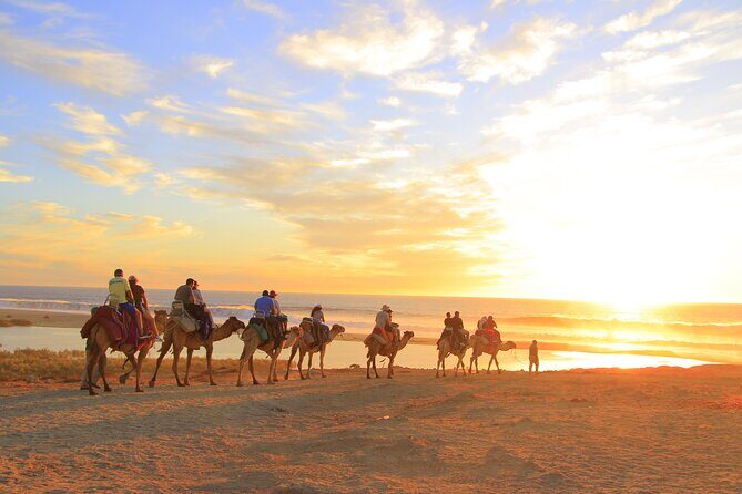 Beach Camel Ride and Encounter in Cabo - The Camel Ride Along Migrino Beach: Expect About 25–30 Minutes