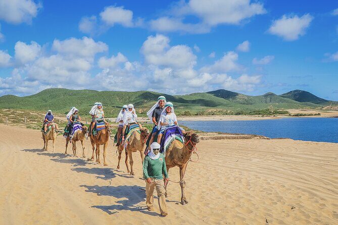 Beach Camel Ride and Encounter in Cabo - Who This Cabo Beach Camel Ride Is Best For