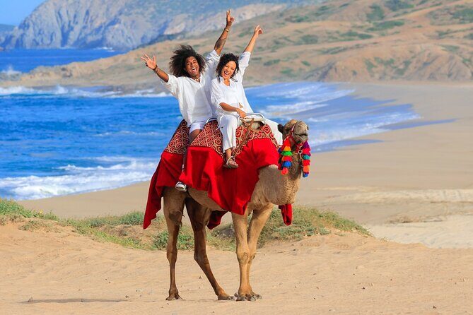 Beach Camel Ride and Encounter in Cabo - Pickup to Cactus Tours: How the Timing Usually Works