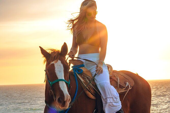 Beach Camel Ride and Sky Bike in Cabo - ATV Training on the Wildcat 1000: Where Beginners Get Real Help