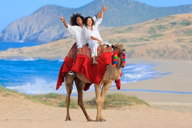 Beach CAN-AM SXS X3 and Camel Ride in Cabo - Camel encounter and beach riding: a fun contrast to the SXS