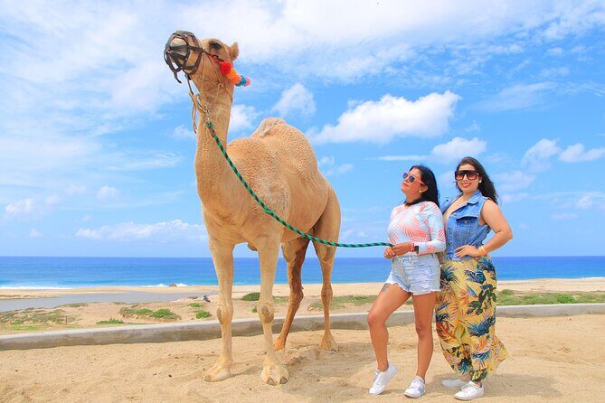 Beach CAN-AM SXS X3 and Camel Ride in Cabo - Ages, safety rules, and who this works best for