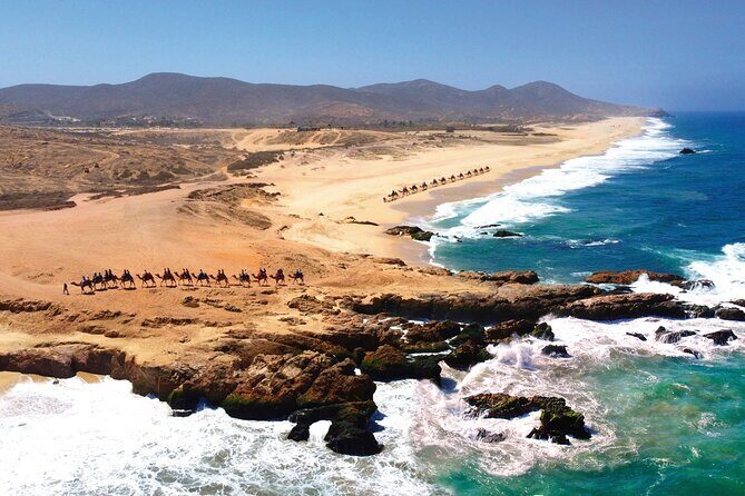 Beach CAN-AM SXS X3 and Camel Ride in Cabo - Should you book this Cabo SXS and camel ride?