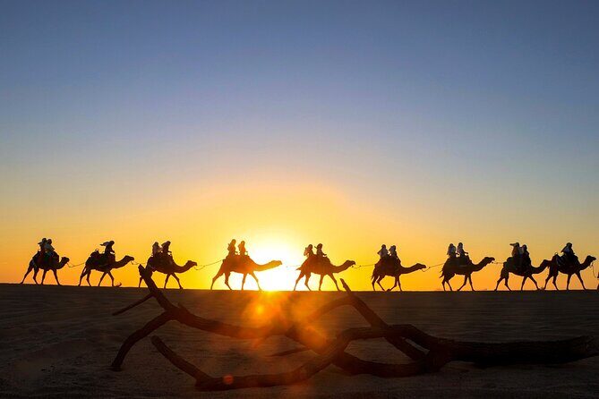 Beach CAN-AM SXS X3 and Camel Ride in Cabo - The CAN-AM SXS ride: real driving, shared-seat logistics