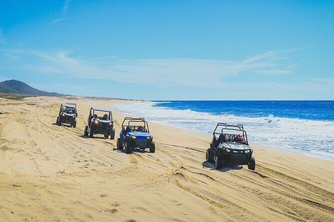 Beach CAN-AM SXS X3 and Horseback Ride in Cabo - Tequila tasting and buffet: the payoff after you ride