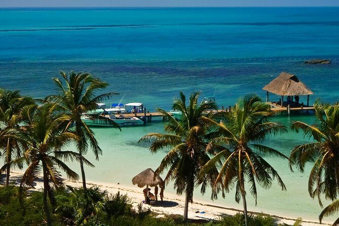 Beach Escape: Isla Contoy and Isla Mujeres with Snorkeling. - Isla Contoy: Bird Sanctuary Energy and the Kind of Water You Came For