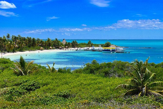 Beach Escape: Isla Contoy and Isla Mujeres with Snorkeling. - Flamingos, Breakfast Snack, Then Straight to the Reef