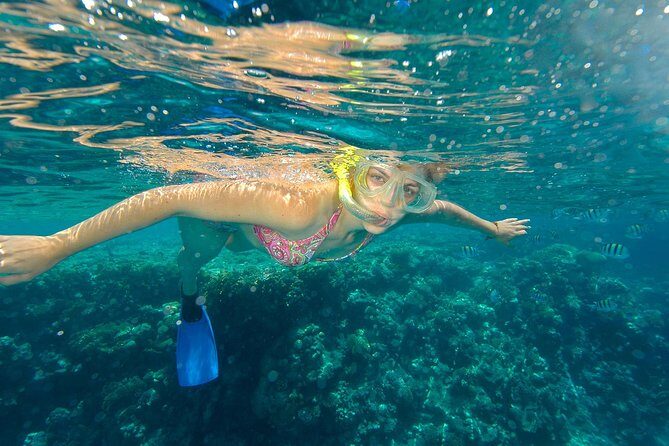 Beach Hopper Small-Group Snorkeling Tour in Los Cabos - How the 3 hours 30 minutes actually feels (and why it’s not rushed)