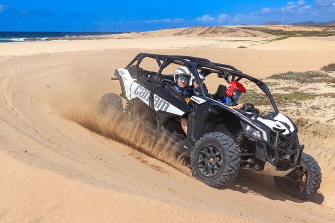 Beach UTV Adventure with Free Camel and Horseback Ride - Entering Cactus Tours: aviary stop, safety gear, then you’re off