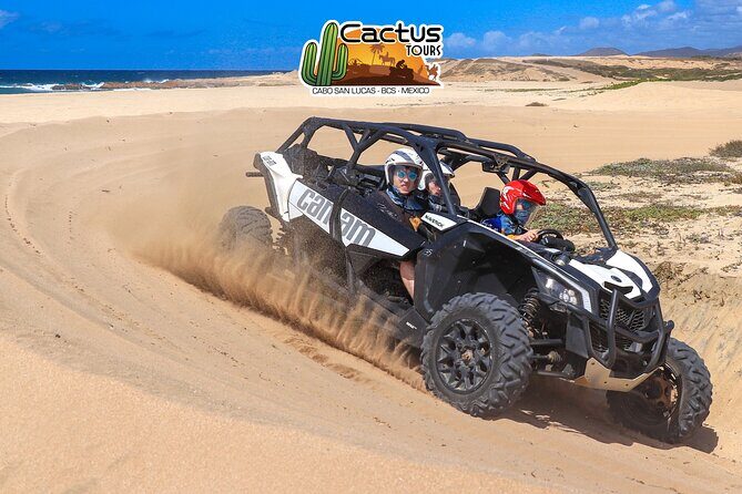 Beach UTV Adventure with Free Camel and Horseback Ride - Camel encounter and beach riding: slower steps, big ocean views
