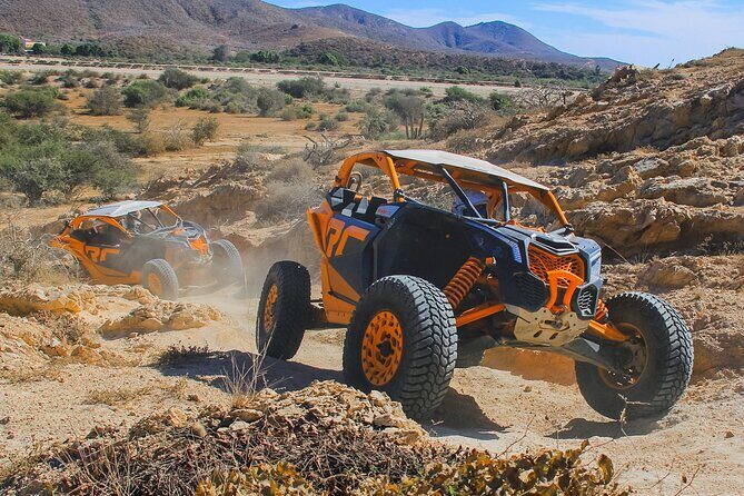 Beach UTV and Camel Ride Combo in Cabo - Entering Cactus Tours: herpetarium, safety gear, and rules