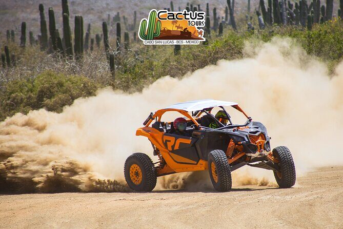 Beach UTV and Camel Ride Combo in Cabo - Lunch, tequila tasting, and souvenir photo reality