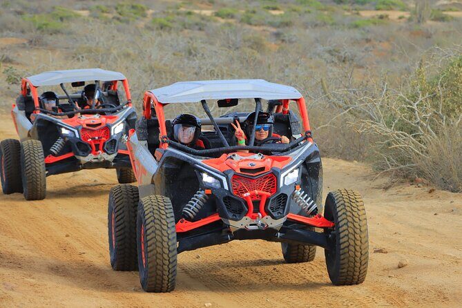 Beach UTV and Camel Ride Combo in Cabo - Safety and participation basics you shouldn’t ignore