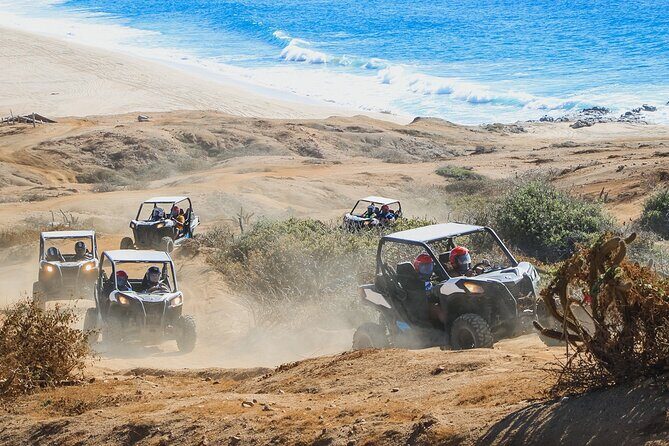 Beach UTV and Sky Bike Combo in Cabo - Migriño Beach: a Pacific hour with whale-season potential