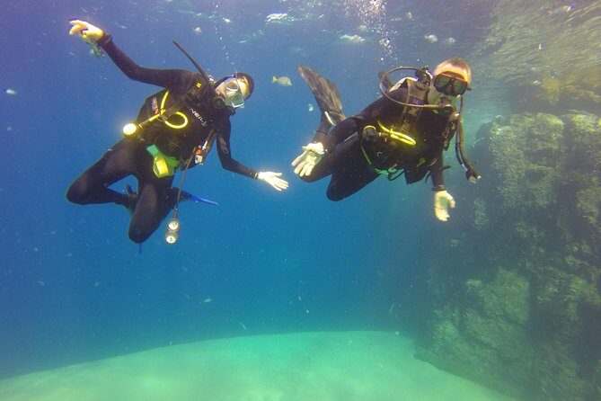 Beginner Scuba Diving in Cabo San Lucas - Check-in and the medical form: what to expect before you go underwater