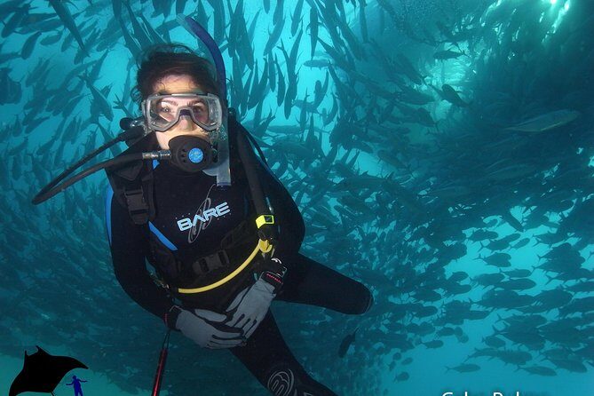 Beginner Scuba Diving in Cabo San Lucas - The water plan: Manta-area spotting and the Arch of Cabo San Lucas