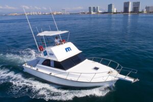 Bertram 38' Convertible Boat in Puerto & Nuevo Vallarta - Puerto Vallarta shoreline sightseeing: why seeing the coast from the water matters