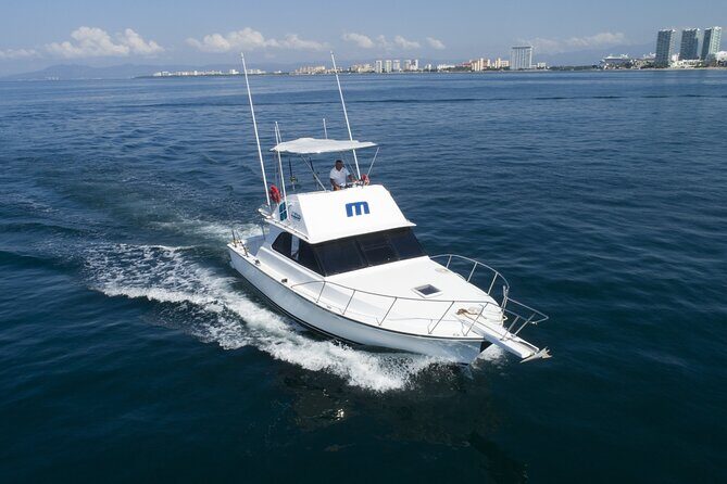 Bertram 38' Convertible Boat in Puerto & Nuevo Vallarta - The wildlife rock snorkeling stop: what to expect and how to prep