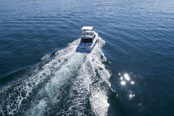 Bertram 38' Convertible Boat in Puerto & Nuevo Vallarta - Price and value: $800 for up to 8 people