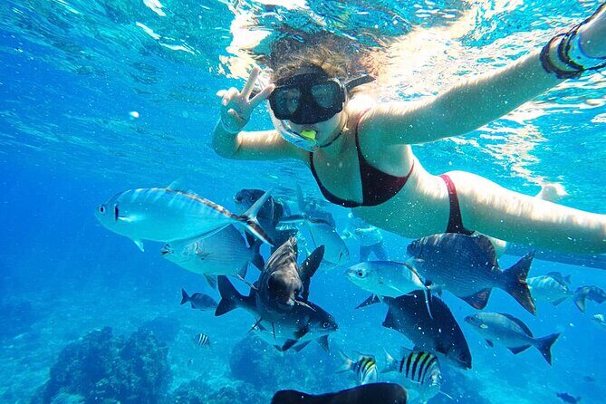 Best Cozumel Day Pass San Francisco Beach Club - Should you book San Francisco Beach Club Day Pass in Cozumel?