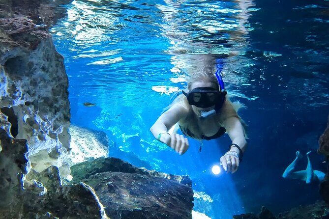 Best in Class: Private Snorkeling Xpedition - Private Snorkeling Xpedition in Playa del Carmen: What You’re Really Buying