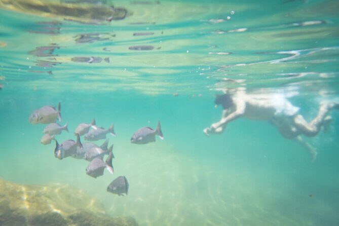 Best in Class: Private Snorkeling Xpedition - What to Bring (and What to Expect in the Water)